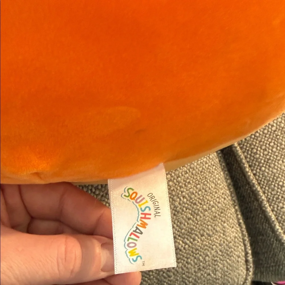 Squishmallows Orange Plush Toy
